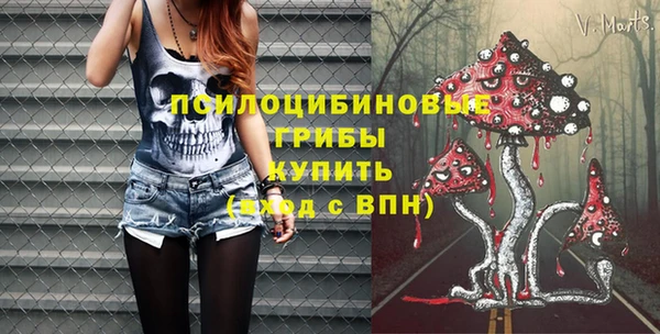 2c-b Алзамай