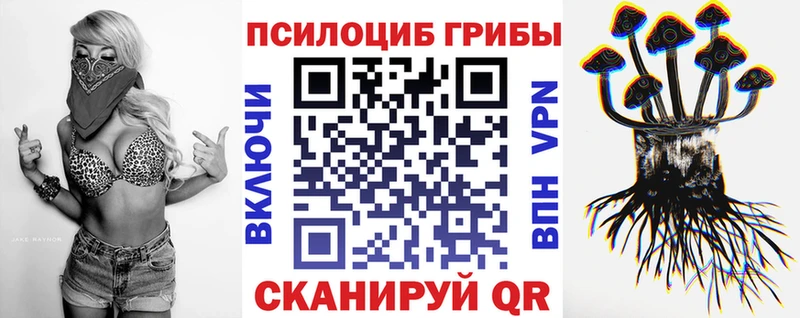 кракен   Кудрово  Галлюциногенные грибы Cubensis 