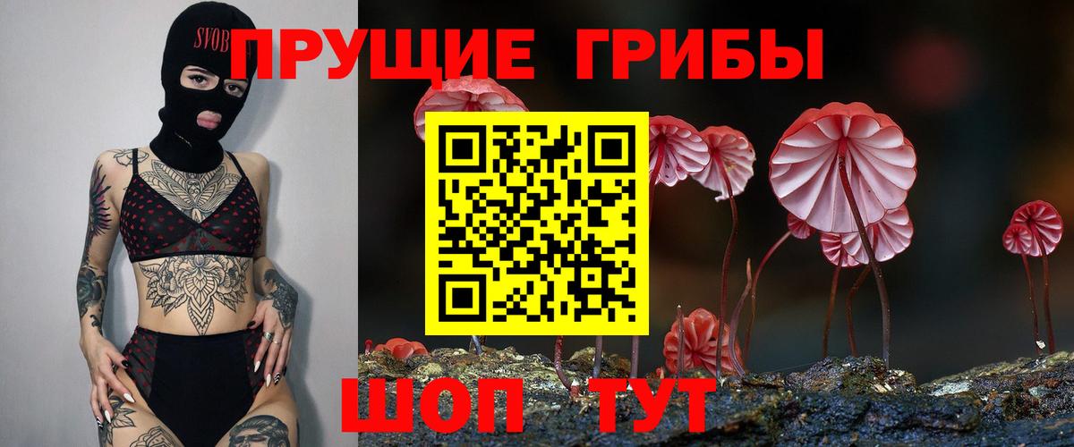 Галлюциногенные грибы Psilocybe Кудрово